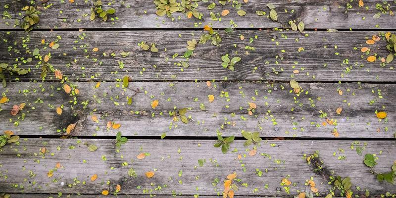 基于GaN的射频功率放大器设计：赋能下一代通信基站与物联网硬件的核心技术