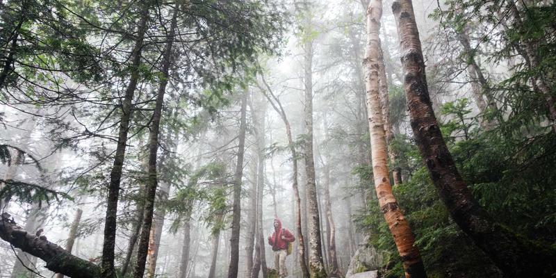 工业物联网(IIoT)边缘网关的硬件安全模块与抗干扰设计：构建坚固的工业数字神经末梢