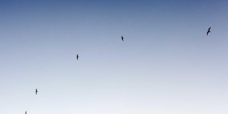 工业自动化核心动力：嵌入式硬件视角下的电力电子变换器设计与选型指南