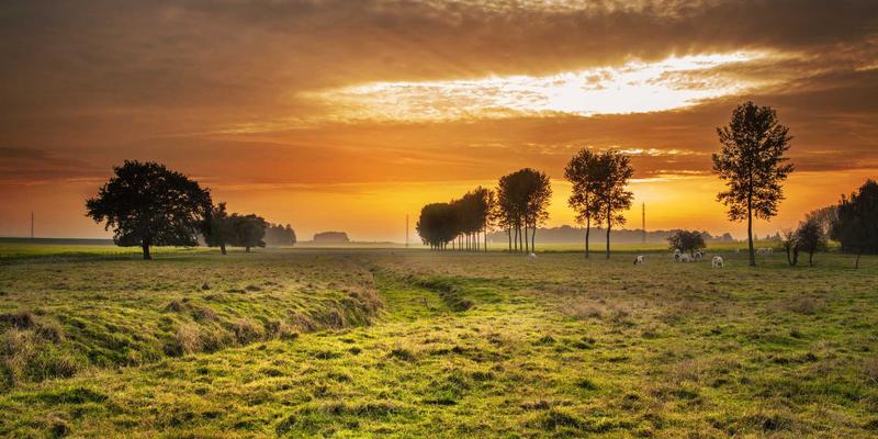 物联网硬件热管理实战：嵌入式系统与电路设计中的仿真分析与优化策略