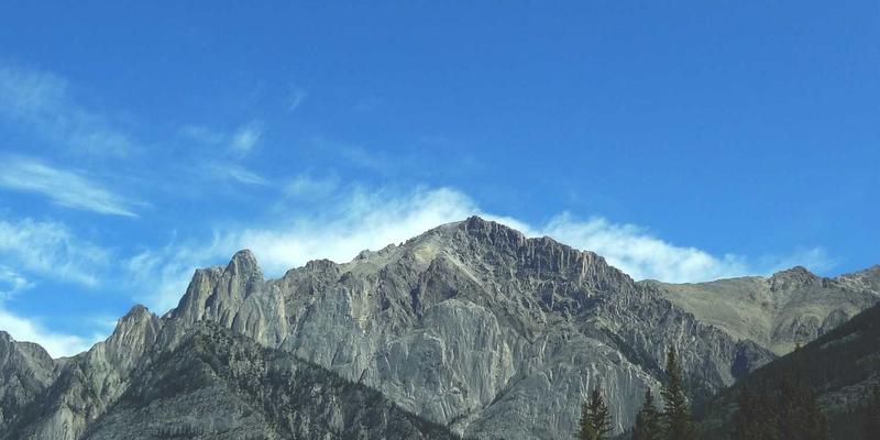 电子工程前沿：基于SiC MOSFET的电动汽车OBC原型开发与损耗深度分析