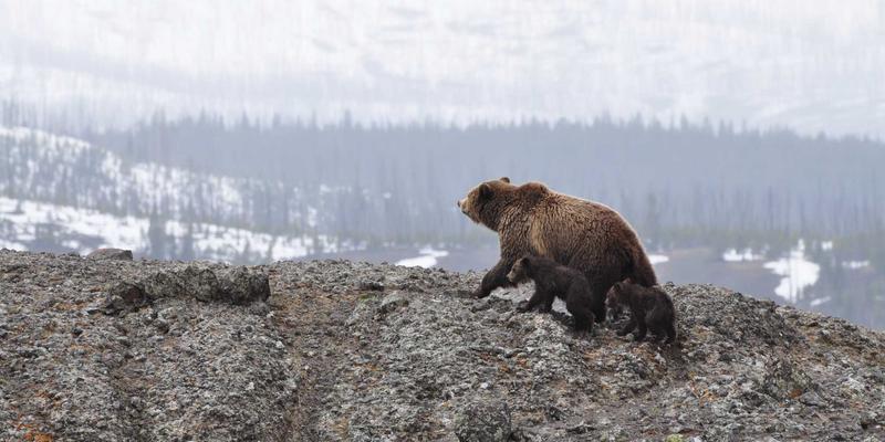 电子技术69：硬件开发的工程实践与创新前沿