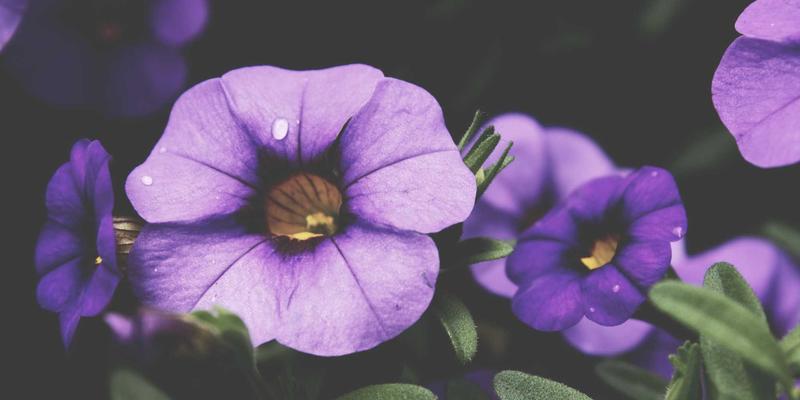 电子技术79：从PCB设计到物联网硬件原型开发的全链路解析