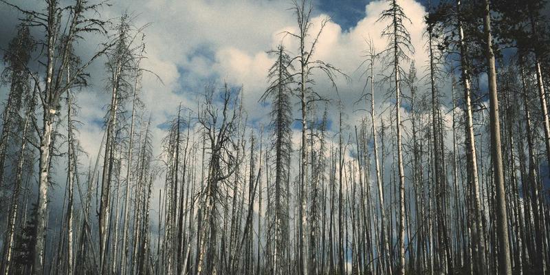 电子技术94：从电路设计到硬件落地的PCB设计全流程解析
