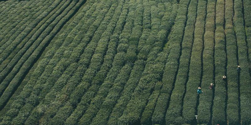 电子技术进阶：从电路设计到物联网硬件的实战跨越
