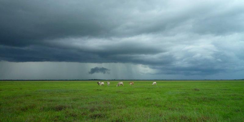 硬件开发与原型迭代:驱动物联网硬件创新的三大技术趋势